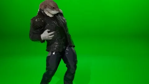 Funny Leather Jacket Shark Dance Render Stock Footage 324548681