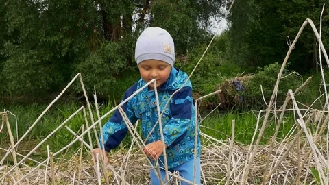 Funny little boy playing in a high dry grass on a meadow Stock-Footage 79542292