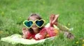 Funny little girl in big sunglasses in the shape of hearts lies on green grass HD Footage