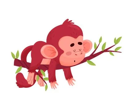 Funny Little Red Monkey Laying On The Branch Of Tree Vector Illustration Cartoon Stock Illustration