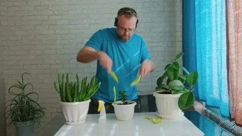 Funny man happily taking care of indoor plants and having fun. Видео 197237469