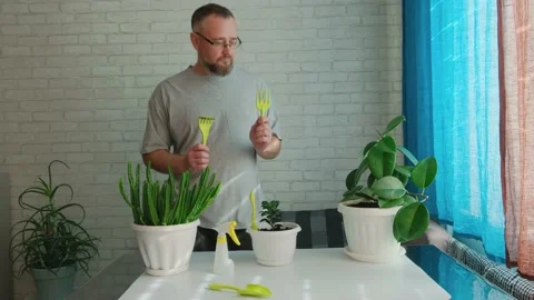 Funny man happily taking care of indoor plants and having fun. Vídeos de archivo 199727170