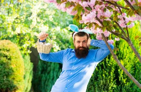 Funny man having fun in park. Easter egg hunt concept. Funny man in rabbit 库存照片