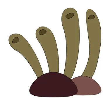 Funny marine algae on white background Stock Illustration