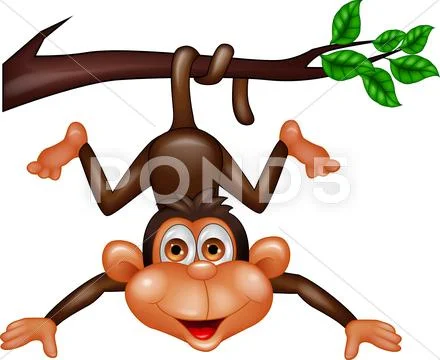 Funny monkey cartoon hanging on tree branch Stock Illustration