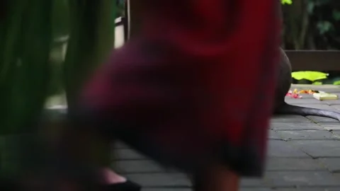 Funny monkey playing with coconut or playing with ball in a crowded place people Stock Footage 254343491