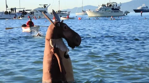 Funny moose mascot walking slowly in ocean, polar bear swim Stock Footage 58756305