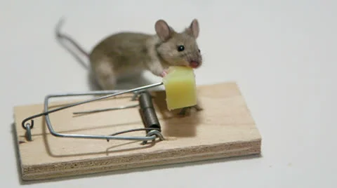The World's Most Dangerous Mouse Trap - Crazy Electric Mouse Trap