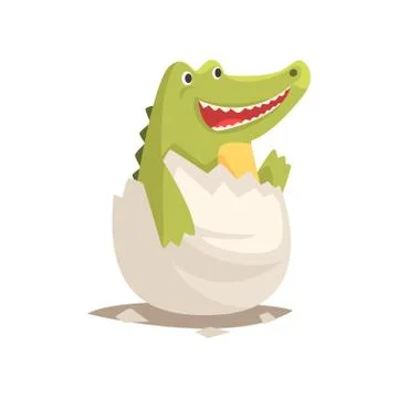 Funny newborn crocodile in broken egg shell Stock Illustration