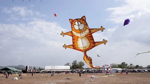 Funny orange cat kite flying in the sky at Satun Kite Festival Stock Footage 162969649