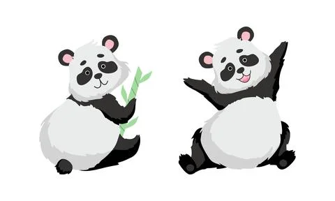 Funny Panda Bear with Black-and-white Coat and Rotund Body Sitting with Bamboo 库存插图