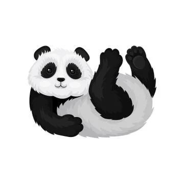 Funny panda lying on his back with paws up. Bamboo bear with fluffy black and Stock Illustration