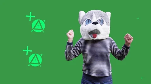 Funny Panda Mascot Dancing Green Screen Stock Footage 339373120