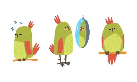 Funny Parrot Perching, Looking in Mirror and Sleeping Vector Set Stock Illustration