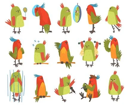 Funny Parrot Perching, Looking in Mirror and Sitting in Cage Big Vector Set Stock Illustration