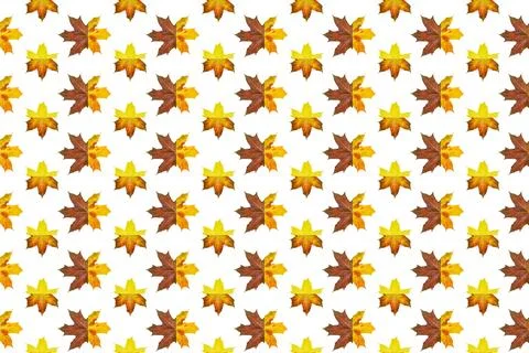 Funny pattern of autumn maple yellow orange brown leaves Stock Illustration