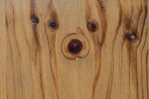 Funny patterned wooden texture closeup. Sawed wood background in shades of li Stock Photos