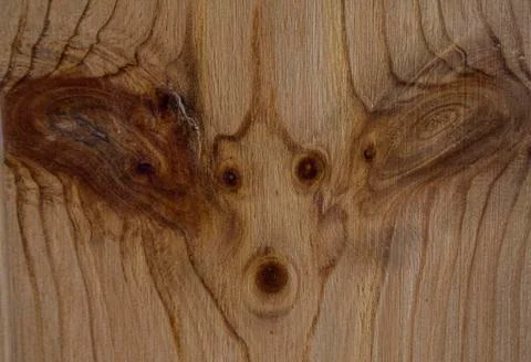 Funny patterned wooden texture closeup. Sawed wood background in shades of li Stock Photos