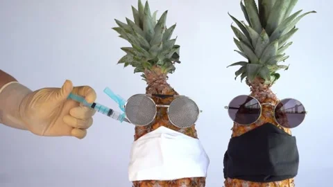 Funny-Pineapples-Vaccinated Stock Footage 316472681