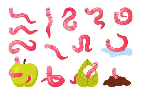 Funny pink worms set, cute happy earthworms characters eat apple or green leaf Stock Illustration