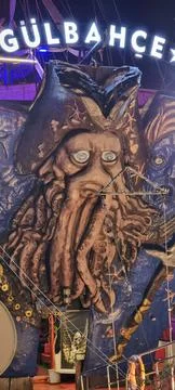 Funny Pirate 스톡 사진