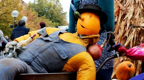 Funny Pumpkin Man. Autumn Background. Stock Footage 38281186