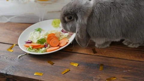 Funny rabbit eats  greens at wooden table Stock Footage 74065900