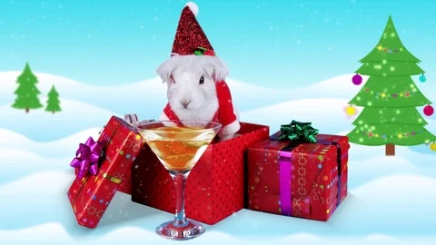 Funny rabbit toasting cheers with champagne glass near gift boxes Stock Footage 70228686
