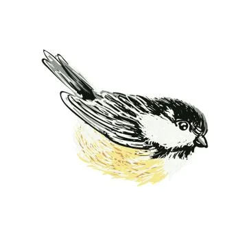 Funny realistic vector Tits and bird feeder on white background. Vector Stock Illustration