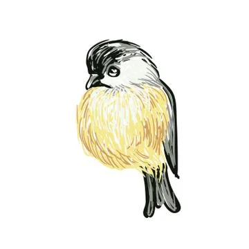 Funny realistic vector Tits and bird feeder on white background. Vector Stock Illustration