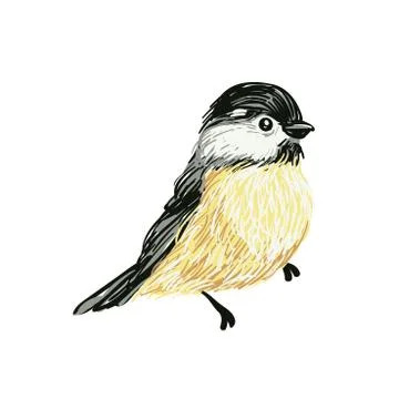 Funny realistic vector Tits and bird feeder on white background. Vector Stock Illustration