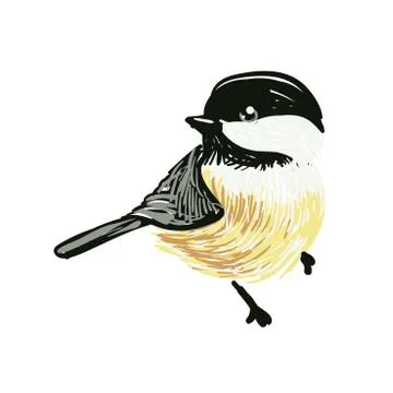 Funny realistic vector Tits and bird feeder on white background. Vector Stock Illustration