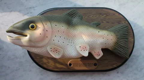 Funny rubber fish Video stock 30363803