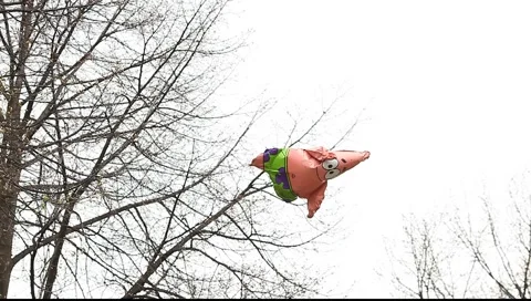 Funny scene with balloon on the tree Видео 5090857