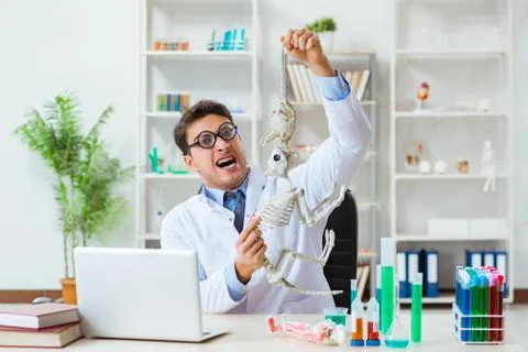 Funny scientist with cat skeleton in lab clinic Stock Photos