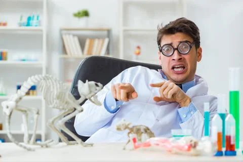 Funny scientist with cat skeleton in lab clinic Stock Photos