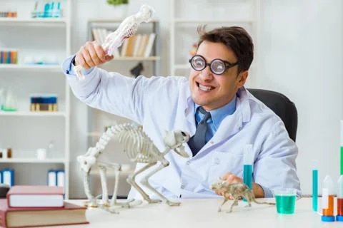 Funny scientist with cat skeleton in lab clinic Stock Photos