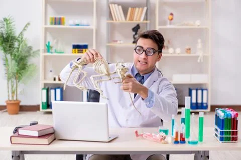 Funny scientist with cat skeleton in lab clinic Stock Photos