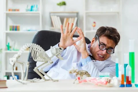Funny scientist with cat skeleton in lab clinic Stock Photos