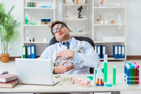 Funny scientist with cat skeleton in lab clinic Stock Photos