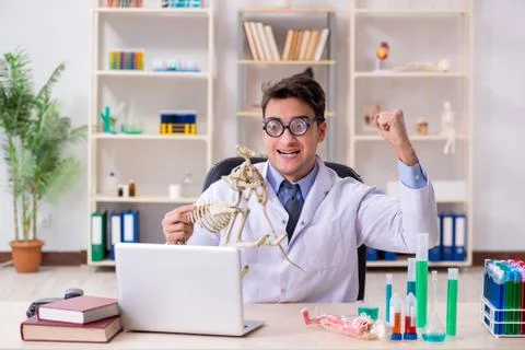 Funny scientist with cat skeleton in lab clinic Stock Photos