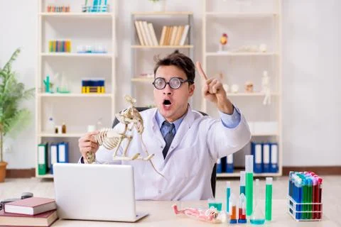 Funny scientist with cat skeleton in lab clinic Stock Photos