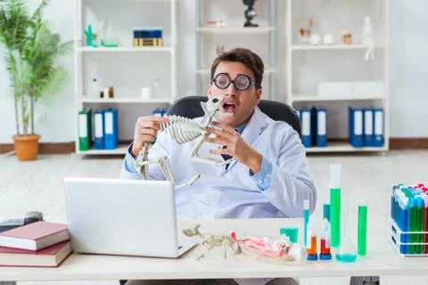 Funny scientist with cat skeleton in lab clinic Stock Photos