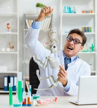 Funny scientist with cat skeleton in lab clinic Stock Photos