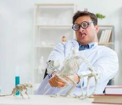 Funny scientist with cat skeleton in lab clinic Stock Photos