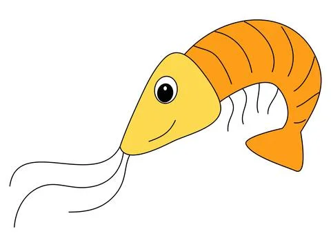 Funny sea shrimp fish vector illustration Stock Illustration