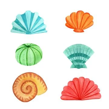 Funny seashells bundle marine underwater sea animal, watercolor illustration  Stock Illustration