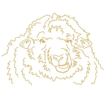 Funny sheep chewing. vector line drawing Stock Illustration