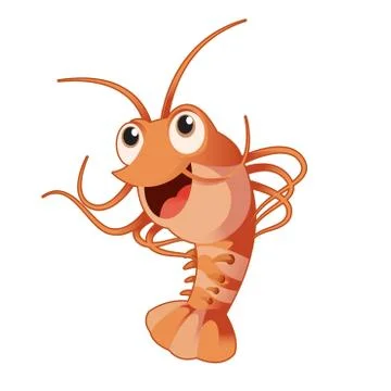Funny shrimp Stock Illustration