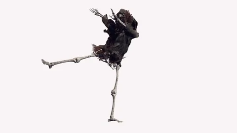 Funny skeleton dancing on white screen Stock Footage 285390348